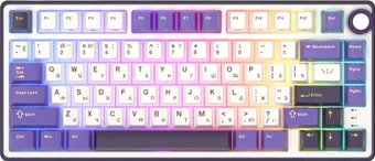 Royal Kludge R75 RGB Blackberry (RK Silver)