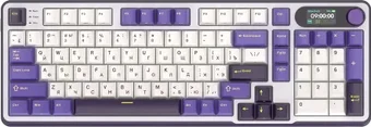 Royal Kludge RK-S98 RGB Blackberry (RK Chartreuse)
